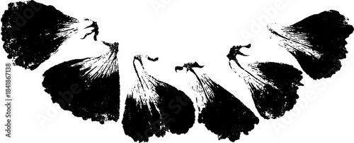 Black and white stencil art of jagged petal cluster for urban decor and design