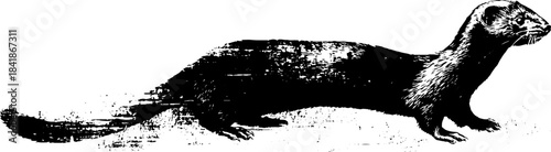 Black and white stencil of long tailed creature in urban art style for design projects