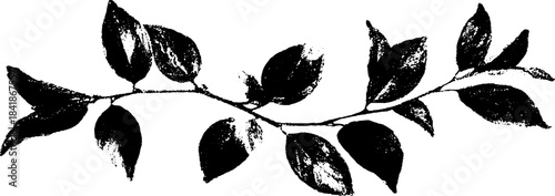 Monochrome minimalist plant stencil design for artistic decor and botanical elements