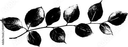 Minimalist black and white plant stencil for artistic design