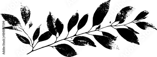 Minimalistic black and white stencil of spring leaf branch for design projects