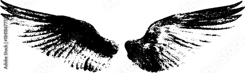 Abstract black and white wing silhouette stencil illustration for artistic design