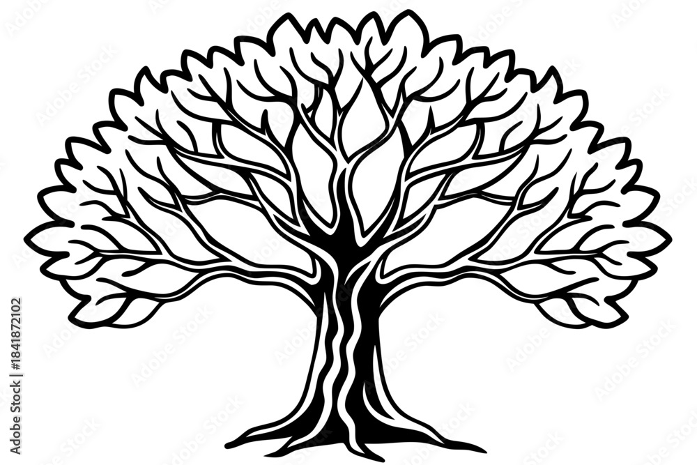 Obraz premium Banyan tree line art white background 