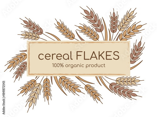 A hand‑drawn vector illustration of a banner design featuring cereal flakes, organic grain products, and a horizontal background, along with a bakery promotion template highlighting spikelets