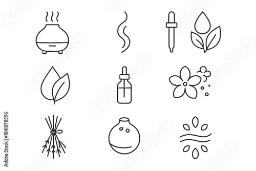 Diffuser fusion set orb herbs eucalyptus icon aroma scent burning aromatherapy vector