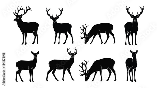 Various silhouettes of deer and stags in different poses, including standing and grazing