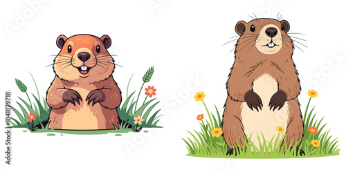 Groundhog in a field surrounded by flowers and grass, Groundhog Day, transparent background, isolated, vector, set, e-card design