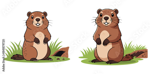 Groundhog standing in grass with cheerful expression in park, Groundhog Day, transparent background, isolated, vector, set, e-card design 