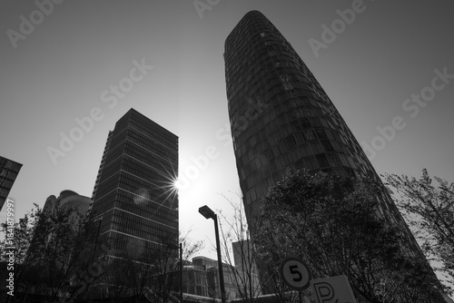 Photography shanghai skyline