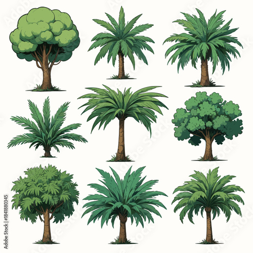 Set of isolated vector tree illustrations featuring various palm and deciduous types with detailed green foliage and brown trunks in a flat comic style, perfect for game assets and nature designs