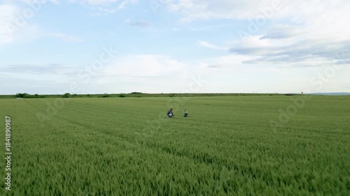 Aerial view of male and female farmers walking in green wheat field examining crop.