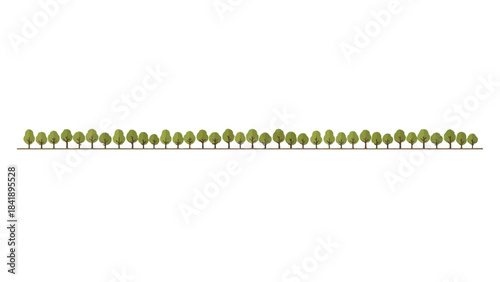 Minimalist Vector Illustration of Continuous Row of Identical Stylized Trees on a Thin Line
