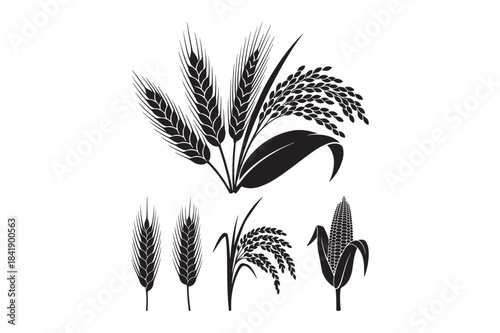 A collection of black vector silhouettes illustrating essential grains like wheat, rice, and corn