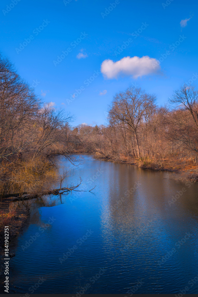 Obraz premium A serene winter landscape unfolds along the Mill River in East Rock Park, New Haven, Connecticut, United States