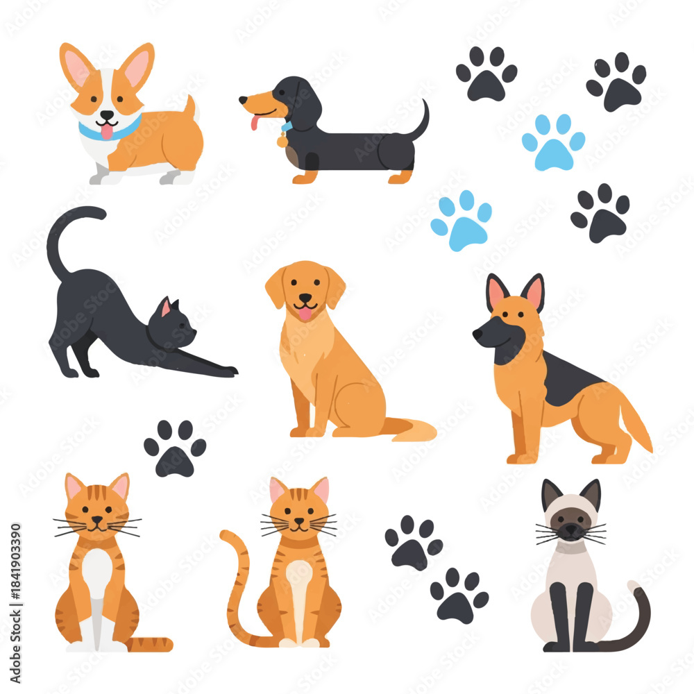 Fototapeta premium Collection of various dog and cat breeds with paw prints.
