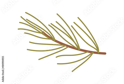 Flat pine branch with green plant decor in a holiday and winter style. Christmas decoration uses kraft and cardboard, perfect for a box or gift concept. Modern flat graphic for seasonal themes.
