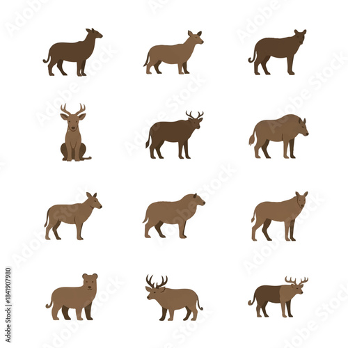 Canvas Print Collection of various wild animals in different poses.