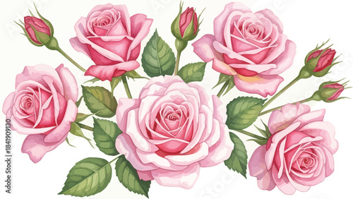 A beautiful arrangement of soft pink roses with green leaves and buds is depicted against a white background, showcasing their delicate petals and natural beauty.