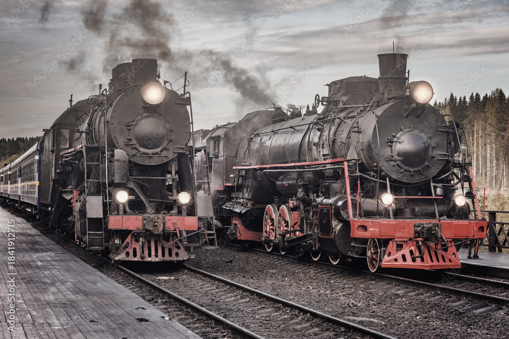 Fototapeta premium Steam trains stand by the platforms.