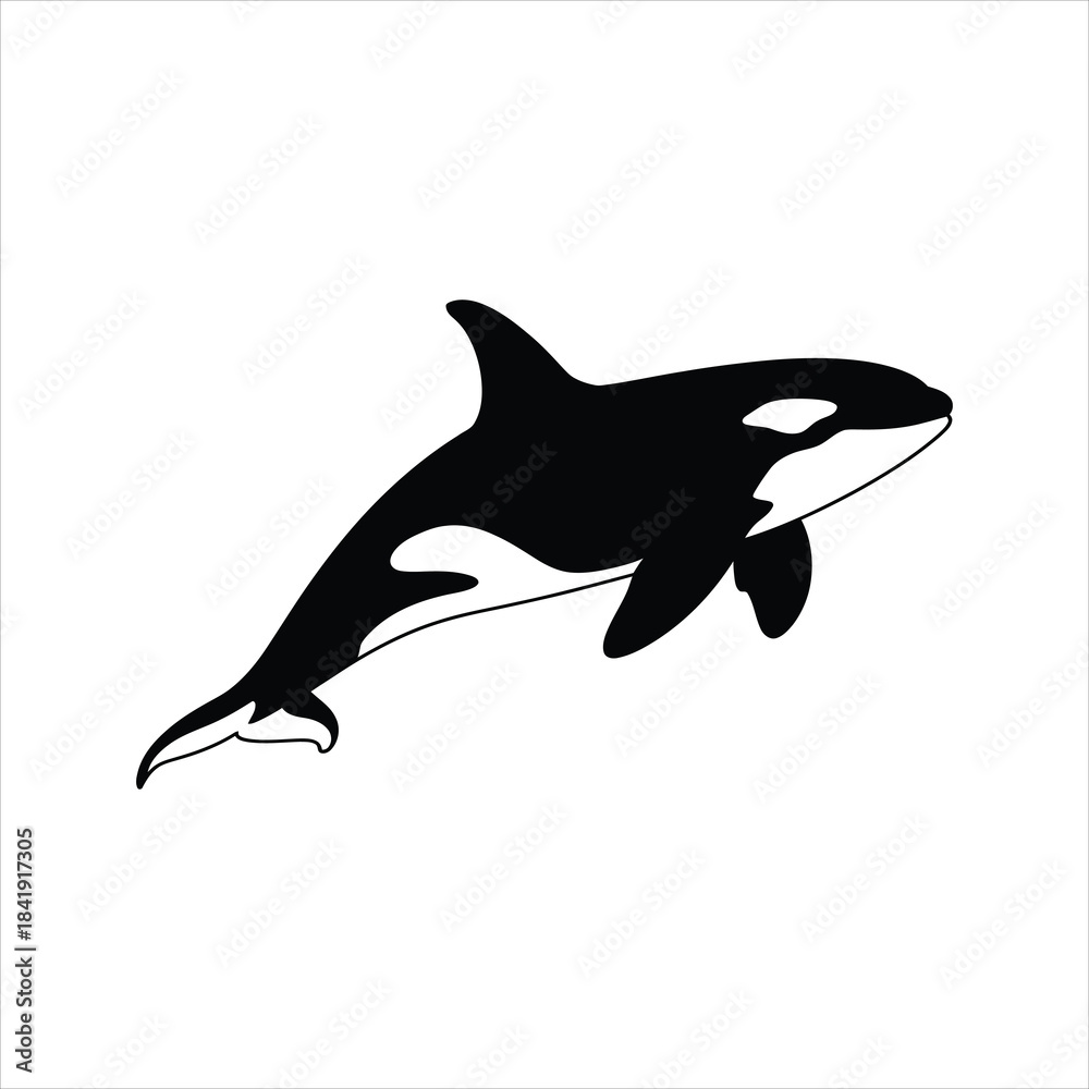Fototapeta premium Orca Whale Icon – Killer Whale Silhouette Vector Illustration