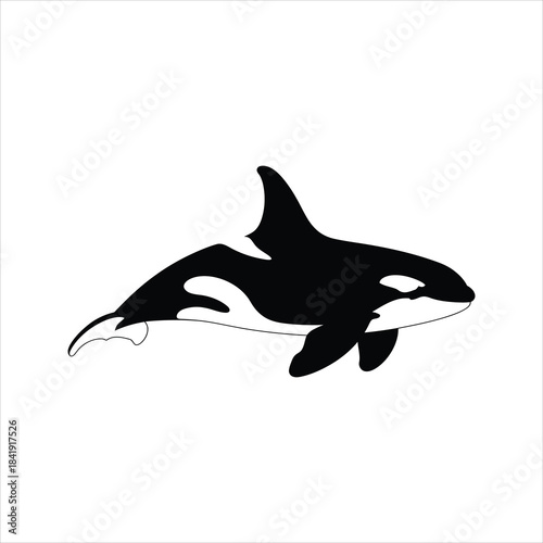 Orca Whale Icon – Killer Whale Silhouette Vector Illustration