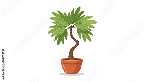 A cartoon palm tree in a terracotta pot with a curved trunk, green leaves, and a shadow