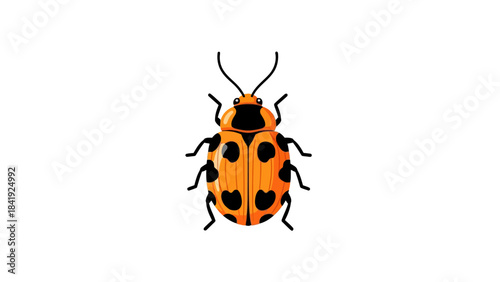 A vibrant, stylized illustration of a ladybug with an orange body, black spots, and detailed features