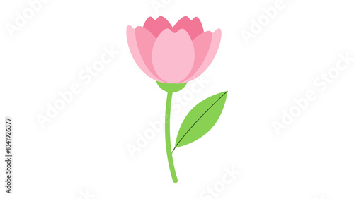 A charming, minimalistic illustration of a pink flower in full bloom, green stem and leaf