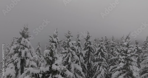 Drone Forêt enneigé dans les nuages