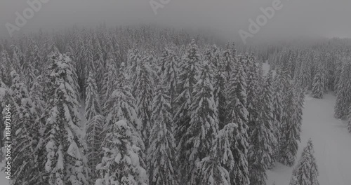 Drone Forêt enneigé dans les nuages
