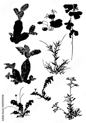 Hand drawing flower collection isolated on a white background. Set of hand drawing flower silhouette