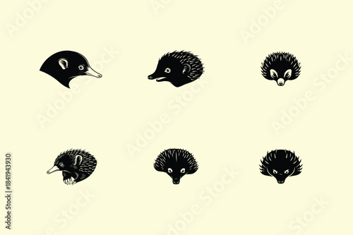 Vintage illustration of various animal heads in a scientific or natural history style