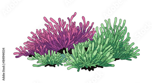 Vibrant Underwater Coral and Seaweed Illustration.