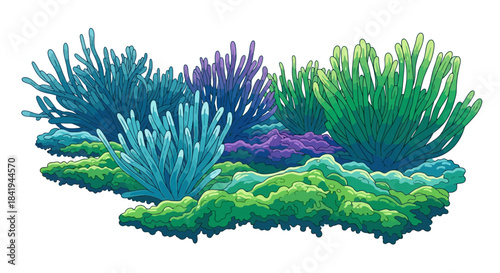 Vibrant Underwater Coral Reef Ecosystem with Diverse Marine Flora.