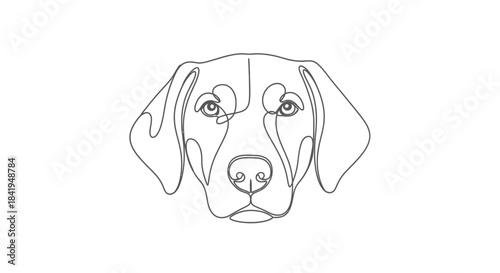 Minimalist line art illustration showcasing the elegant simplicity of a dog's face