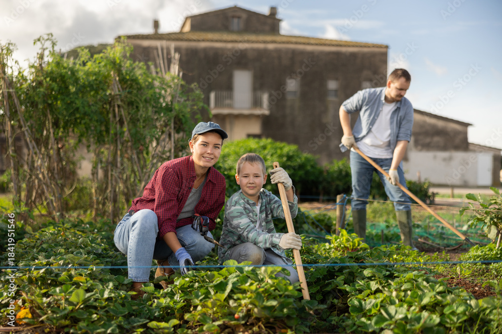 Fototapeta premium Woman farmer with her son and garden tools after planting strawberries. Family of farmers growing organic vegetables in the garden
