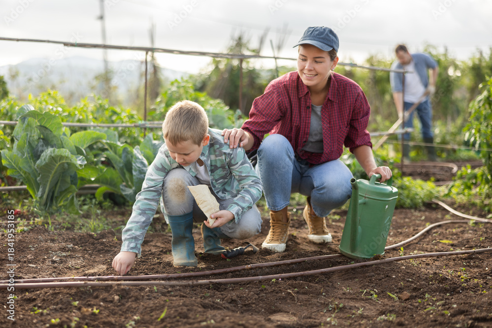 Fototapeta premium Woman and her son are planting seeds on a farm. Guy helps a female farmer plant seeds. Process of planting seeds in the ground
