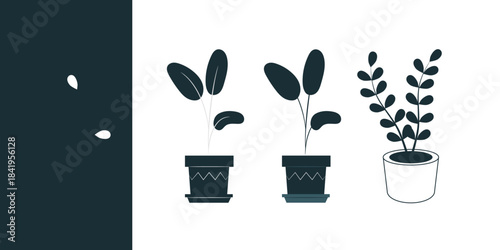 Flat design set of pot plants vector illustration isolated on white background decorative indoor foliage botanical collection natural elements