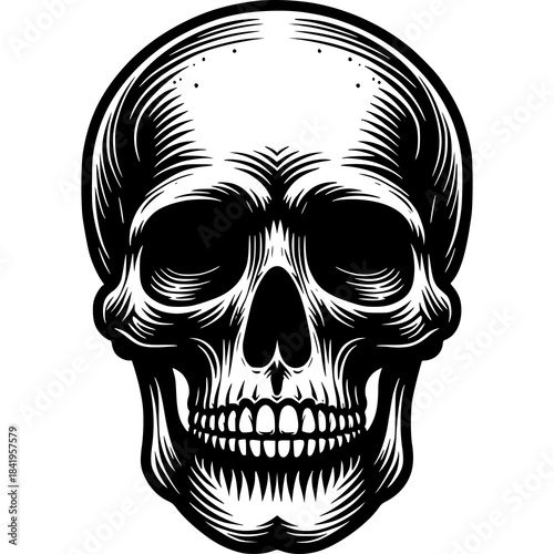 Sinister Skull Silhouette: A stark black and white depiction of a human skull, emphasizing its intricate bony structure and timeless symbolic representation.