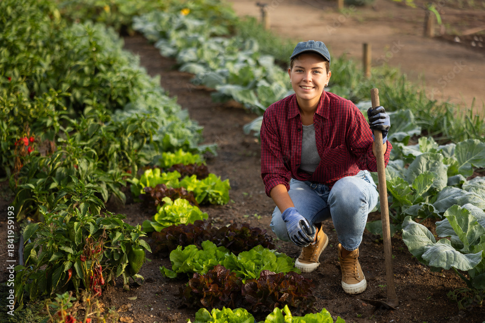 Fototapeta premium woman farmer with a hoe near lettuce and cabbage. Farmed organic vegetables growing in the garden