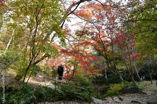 三渓園　紅葉の遊歩道　秋