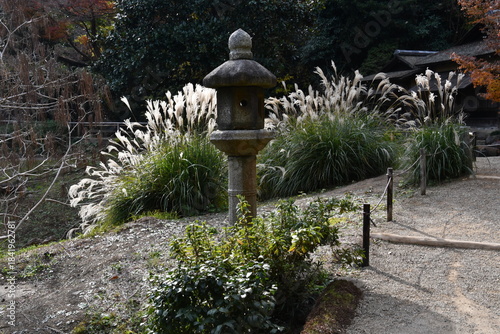 三渓園　秋　庭園