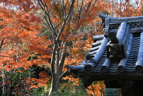 三渓園  海岸門