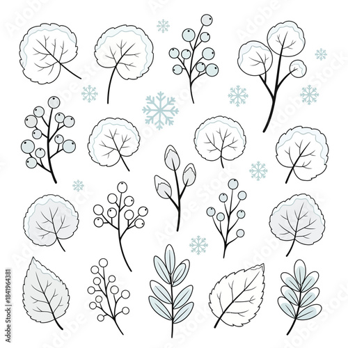 Delicate monochrome winter botanical illustrations featuring leaves and snowflakes for design