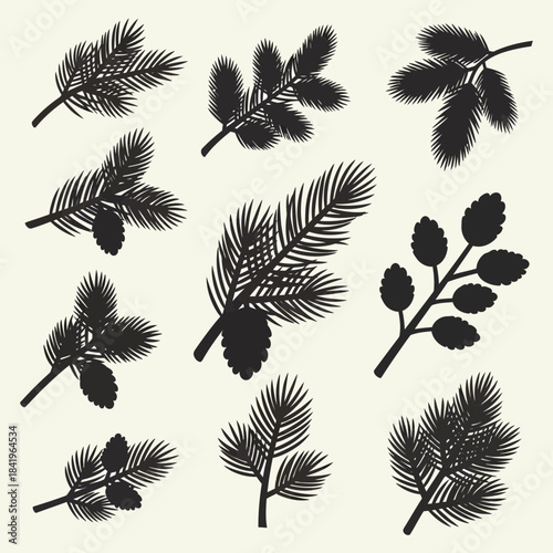 Silhouettes of Various Pine and Conifer Branches with Pinecones and Berries for Nature Design