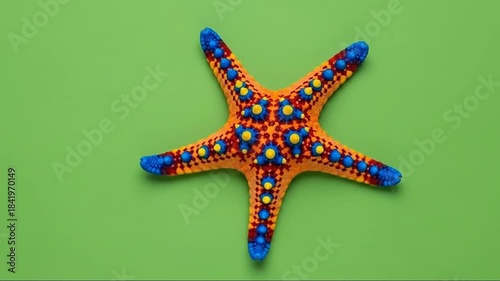Colorful starfish with vibrant patterns displayed on a green background in a dynamic sequence of