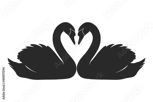 Two black swans form a heart shape with their necks in a simple silhouette
