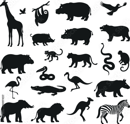 Wild animal silhouettes, jungle creatures, zoo wildlife, black vector icons, nature illustration, exotic species, educational design, tropical fauna, safari animals