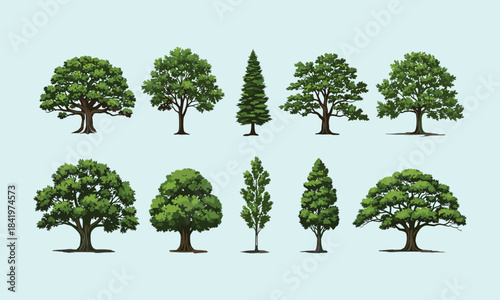 Tree species collection, diverse foliage, botanical illustration, deciduous and coniferous trees, landscape design, nature education, forest types, plant morphology reference