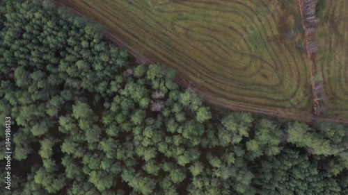 aerial view, drone photography, drone landscape, top view, forest, pine forest, birch trees, mixed forest, woodland, clearing, meadow, wetland, swamp, bog, marsh, pond, lake, reeds, river, stream, win